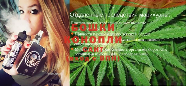 мдпв Вязники