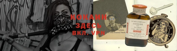 шишки Гусь-Хрустальный