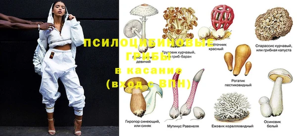 прущий лед Гусев