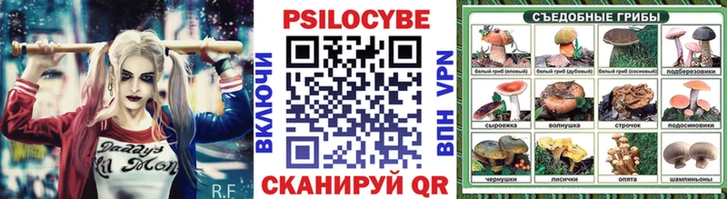где продают   Дзержинский  Псилоцибиновые грибы мухоморы 